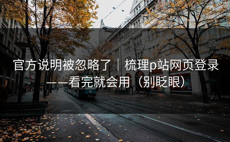 官方说明被忽略了｜梳理p站网页登录——看完就会用（别眨眼）